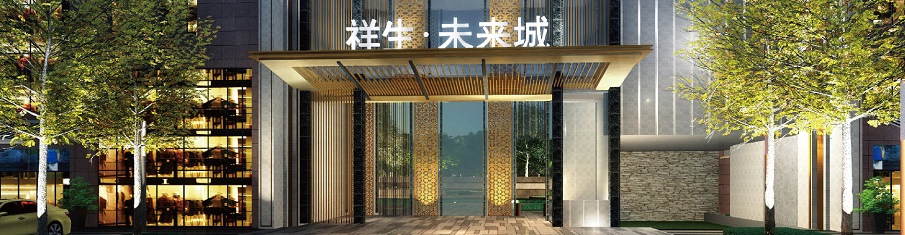 泰兴·祥生未来城
