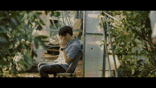 5.gif